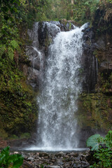 Obraz premium The Lost Waterfalls inside a cloud forest, Boquete, Panama - stock photo