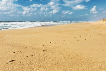 Fototapeta na wymiar seascape, a walk on the golden beach of the Mediterranean Sea