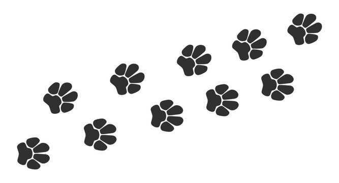 Paw vector foot trail print of cat. Dog, pattern animal tracks isolated on white background, backgrounds