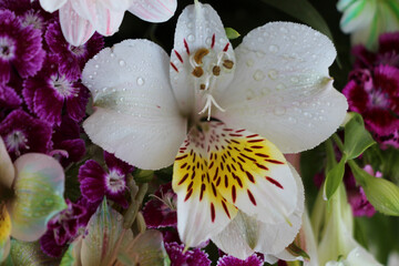 Mixed bouquet