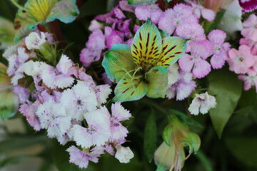 Mixed bouquet