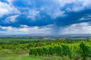 Fototapeten View of the vineyards near Bretzenheim/Germany in Rheinhessen with an approaching thunderstorm © fotografci