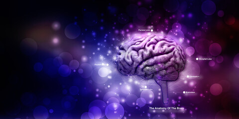 3d illustration Human health brain