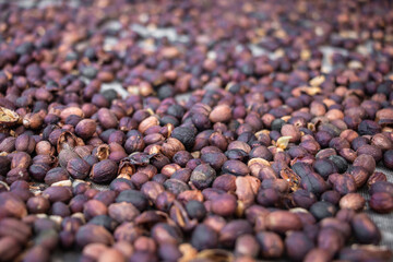Coffee beans background with selective focus