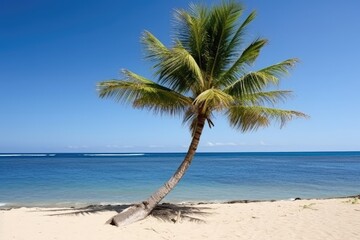 Fototapeta premium Solitary Leaning Palm Tree on Pristine Tropical Beach, Azure Ocean