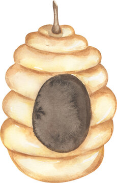 Nest or vespiary of wild bees illustration. Watercolor cartoon close-up bee house clipart.