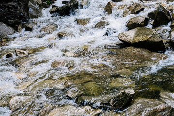 water flowing over rocks in the forest