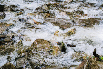 water flowing over rocks in the forest