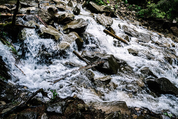 water flowing over rocks in the forest
