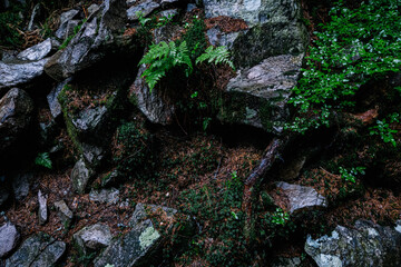 stone wall background