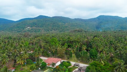 Fototapeta na wymiar Aerial drone top view Tropical palm forest in Indonesia. Dynamic shot of a village in a tropical palm forest. Dynamic shot of houses and a tropical palm forest in the mountains.
