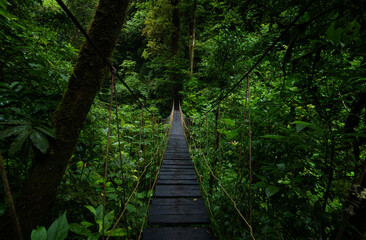 Wooden suspension bridge in the jungle of Costa Rica