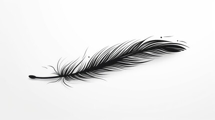 feather tattoo isolated on white background