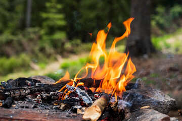 Campfire for cooking in the forest. Burning fire. The fire burns in the forest. Burning fire texture. Burning dry branches. Tourist fire in the forest. Texture of burning branches.