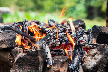 Campfire for cooking in the forest. Burning fire. The fire burns in the forest. Burning fire texture. Burning dry branches. Tourist fire in the forest. Texture of burning branches.