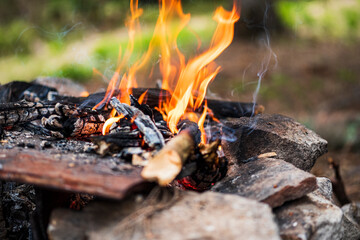 Campfire for cooking in the forest. Burning fire. The fire burns in the forest. Burning fire texture. Burning dry branches. Tourist fire in the forest. Texture of burning branches.