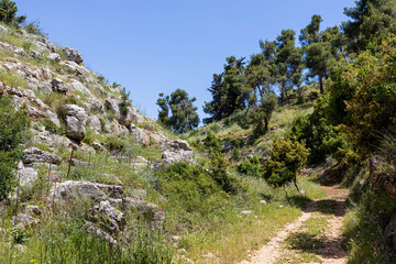 Fototapeta na wymiar Mount Meron is a mountain in the Upper Galilee region of Israel. It has special significance in Jewish religious tradition and parts of it have been declared a nature reserve