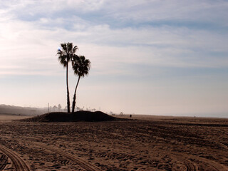Tranquil Dawn at Dockweiler Beach: Tire Tracks and Palm Trees