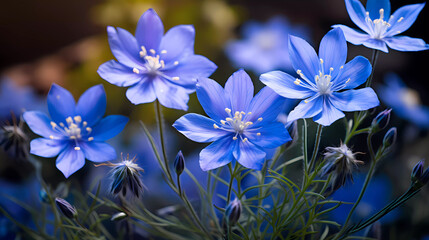 Bright wildflowers with a beautiful blurred background.