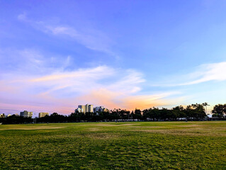 Serene Green Field and Urban Skyline in Kapiolani Park