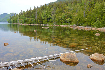 Landscape with dry wood on Jordan Pond, one of park's most pristine lakes, with outstanding surrounding mountain scenery. Acadia National Park, Maine, United States