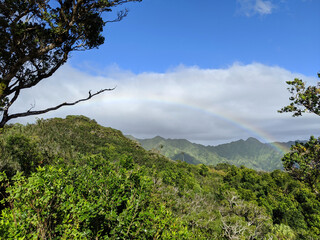 Rainbow over Tantalus Mountain Forest