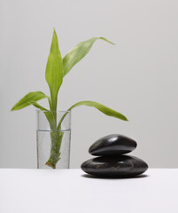 Obraz na płótnie Canvas Black stone and Green bamboo leaf. Minimal empty display product presentation scene.