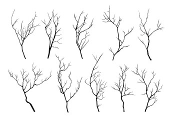 Vector collection of black silhouettes of tree branches isolated on white background - obrazy, fototapety, plakaty