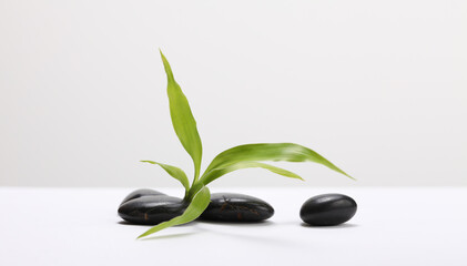 Black stone and Green bamboo leaf. Minimal empty display product presentation scene.