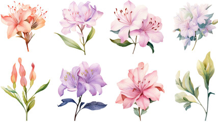 a collection of soft watercolor azaleas flowers isolated on a transparent background, generative ai