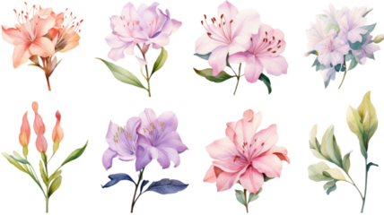 a collection of soft watercolor azaleas flowers isolated on a transparent background, generative ai