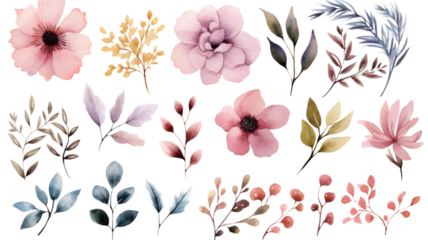 a collection of soft watercolor winter flowers isolated on a transparent background, generative ai