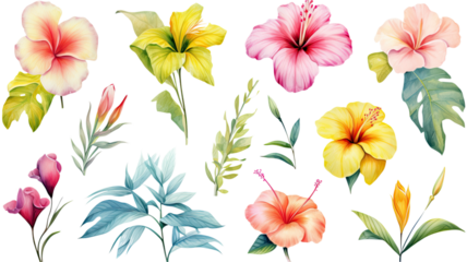 a collection of soft watercolor tropical flowers isolated on a transparent background, generative ai