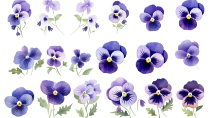 Tuinposter collection of hand drawn pansies flowers isolated on a transparent background, generative ai © Perfect PNG