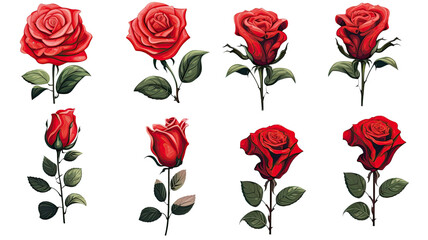 collection of hand drawn roses flowers isolated on a transparent background, generative ai
