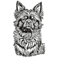 Affenpinscher dog realistic pencil drawing in vector, line art illustration of dog face black and white