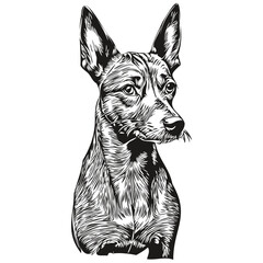 American Hairless Terrier dog silhouette pet character, clip art vector pets drawing black and white