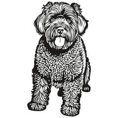 Black Russian Terrier dog pet silhouette, animal line illustration hand drawn black and white vector realistic breed pet