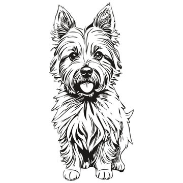 Cairn Terrier dog logo vector black and white, vintage cute dog head engraved realistic breed pet