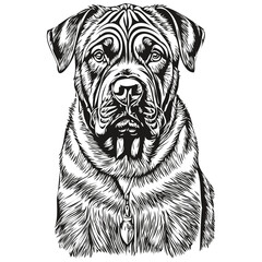 Neapolitan Mastiff dog t shirt print black and white, cute funny outline drawing vector sketch drawing