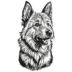 Norwich Terrier dog black drawing vector, isolated face painting sketch line illustration