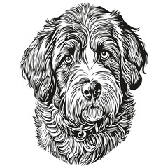 Portuguese Water dog logo vector black and white, vintage cute dog head engraved