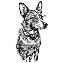 Rat Terrier dog pet silhouette, animal line illustration hand drawn black and white vector