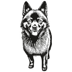 Schipperke dog hand drawn logo drawing black and white line art pets illustration