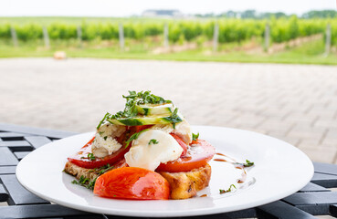 Plate of Bocconcini Salad Served in a Vineyard Restaurant