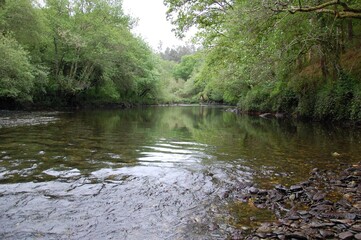 Río en la comarca de Betanzos, Galicia