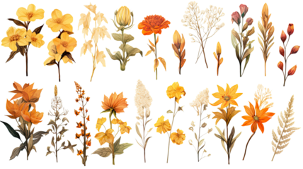 a collection of grunge oil painted autumn flowers isolated on a transparent background, generative ai
