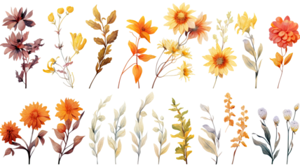 a collection of grunge oil painted autumn flowers isolated on a transparent background, generative ai
