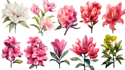 Keuken spatwand met foto a collection of grunge oil painted azaleas isolated on a transparent background, generative ai © Perfect PNG