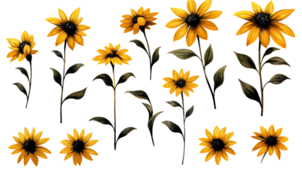 a collection of grunge oil painted black-eyed susans isolated on a transparent background, generative ai